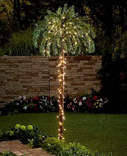 Large Palm Tree with Lights