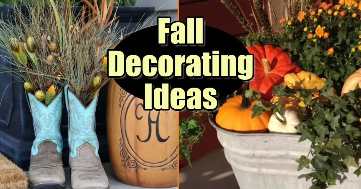 Fall Decorating Ideas on a Budget