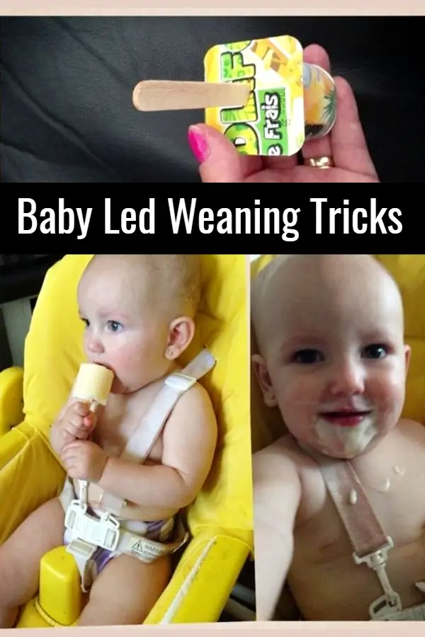 Baby Led Weaning Food Ideas  - Tips for Starting Baby Led Weaning