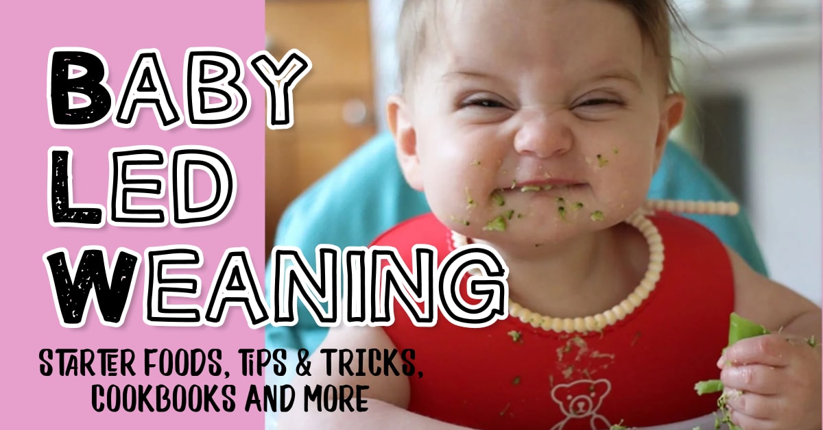 Baby Led Weaning!  See baby led weaning charts, starter foods by age, blw recipes and cookbooks, best baby led weaning books and more baby led weaning tips, tricks and ideas