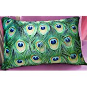 Fablegent Elegant Decorative Pillow / Cushion Cover - Rectangular Emerald Green Peacock Feather Design on Both Sides - Velvet Fabric - Return shipping covered for continental US regions