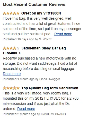 sissy-bar-bag-reviews