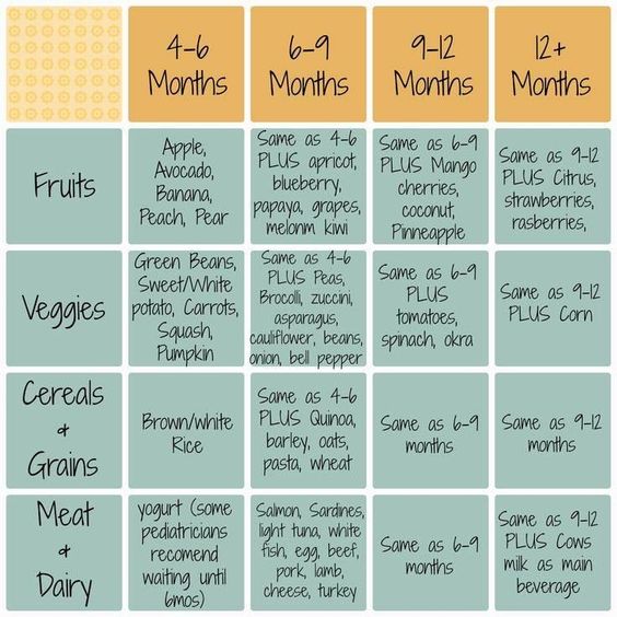 Baby Led Weaning Schedule - When To Start Introducing Different Finger Foods When Doing Baby Led Feeding