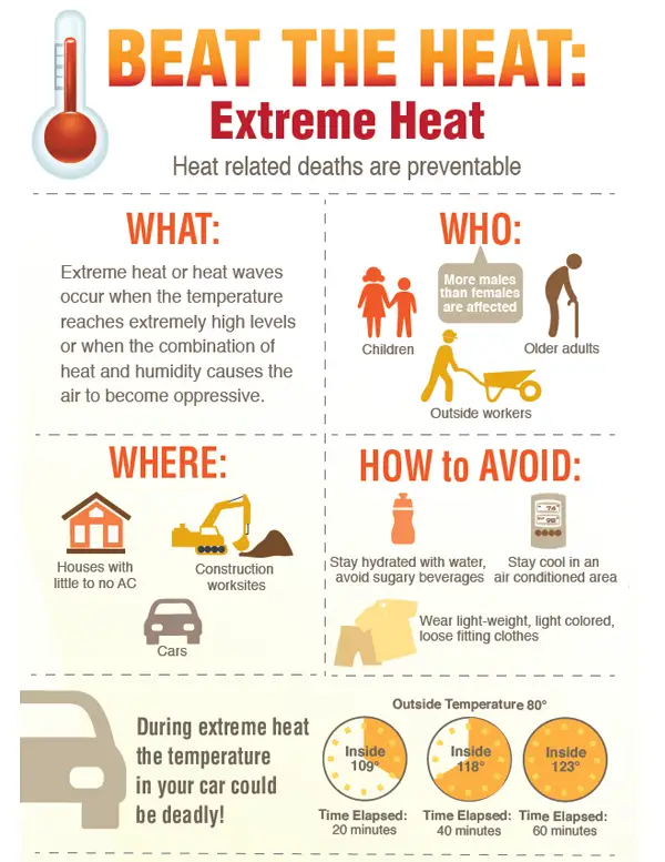 Hot Weather Safety Tips