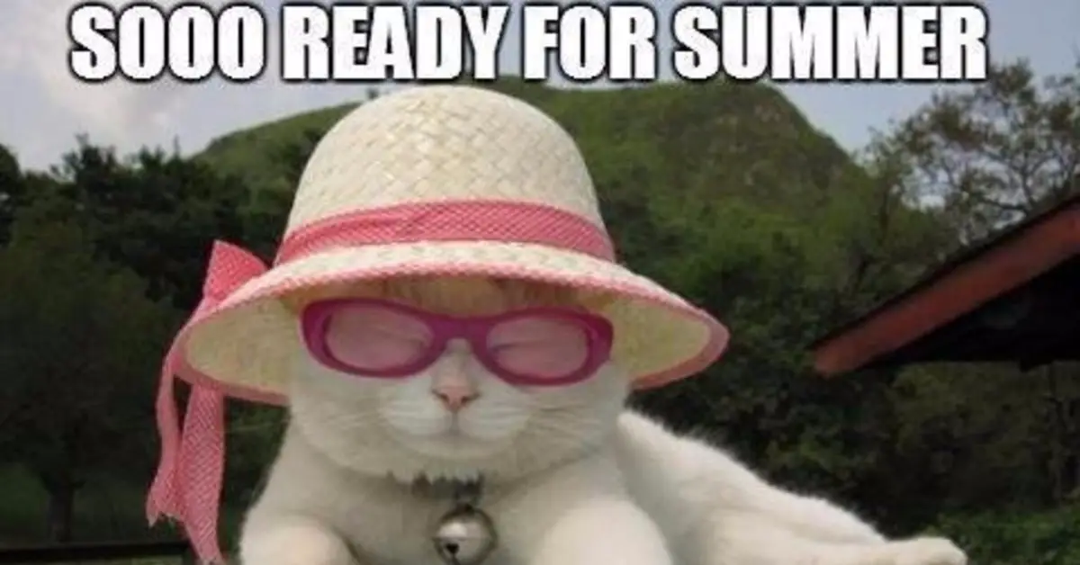 Ready for SUMMER!