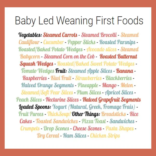 Baby Led Weaning First Foods: best foods when starting baby led weaning