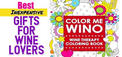 61 Inexpensive Gifts For Wine Lovers & Wine Drinkers