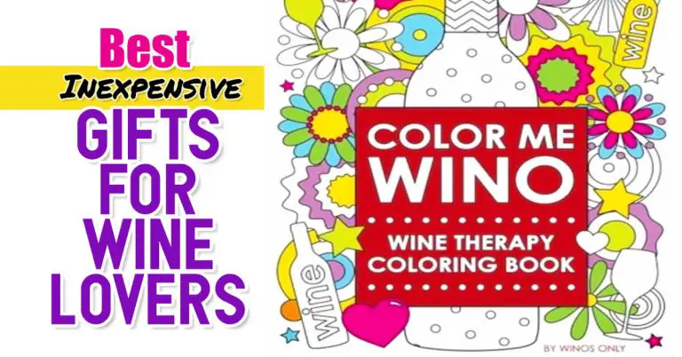 61 Inexpensive Gifts For Wine Lovers & Wine Drinkers
