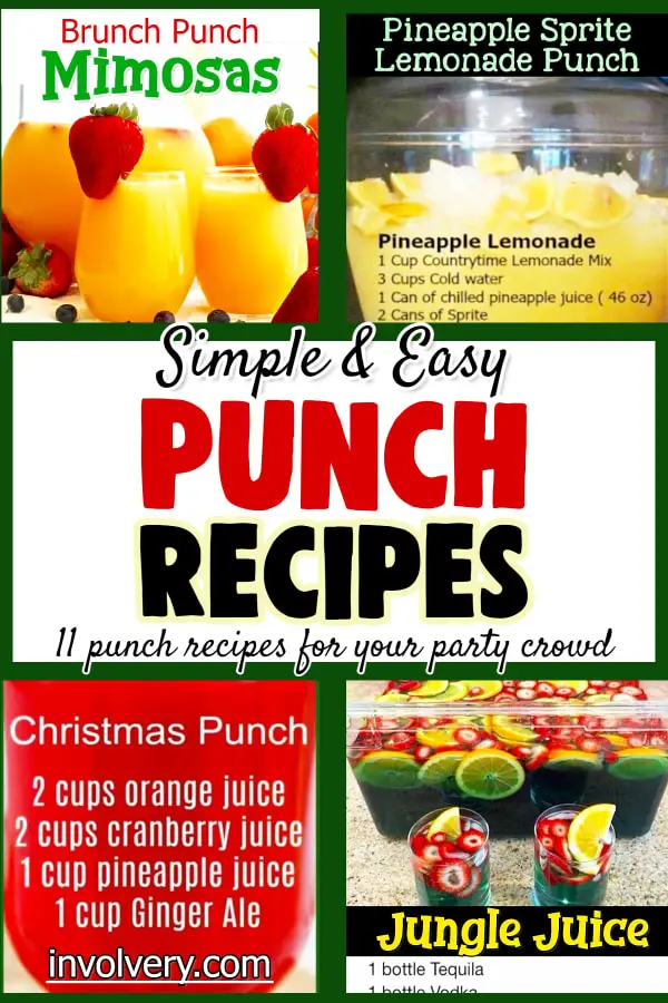 Punch To Make For Parties-11 Simple Easy Punch Recipes For a Crowd