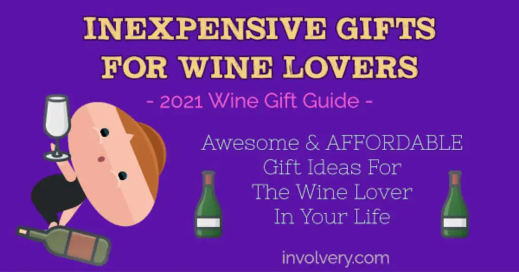 61 Inexpensive Gifts For Wine Lovers & Wine Drinkers2024