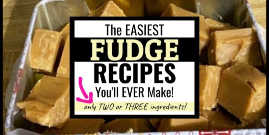Microwave Fudge Variations with only TWO or THREE Ingredients