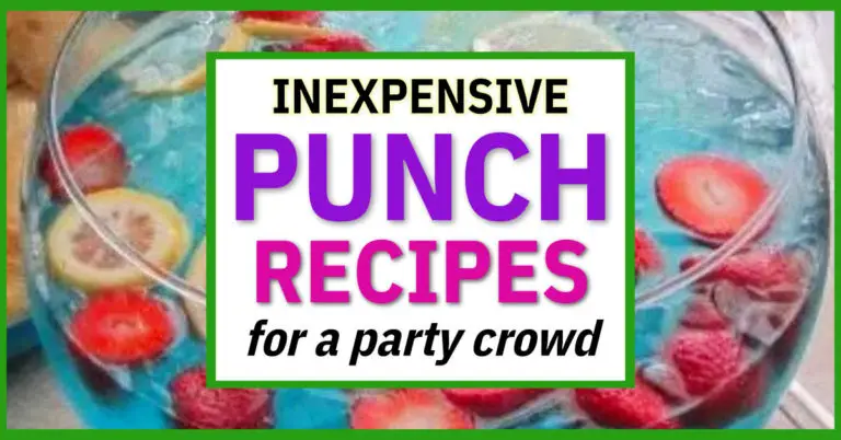 Inexpensive Punch Recipes-11 Simple Party Drink Ideas For a Crowd