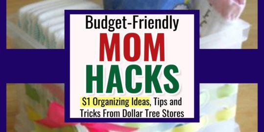 Dollar Tree Organization Hacks For An Organized Mom Life on a Budget  -make mom life budget-friendly with these super cheap $1 organization hacks from Dollar Tree...