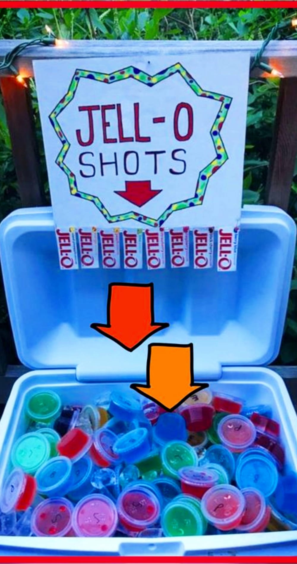 Jello shots for adult color party