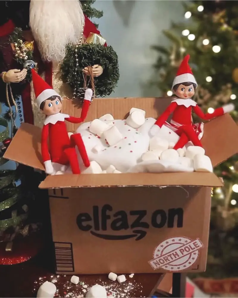 elf on the shelf arrival ideas - 2 elf on the shelf dolls in a cardboard shipping box that says elfazon that looks like the amazon logo