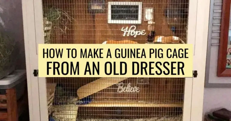 How To Make a Guinea Pig Cage Out Of a Dresser