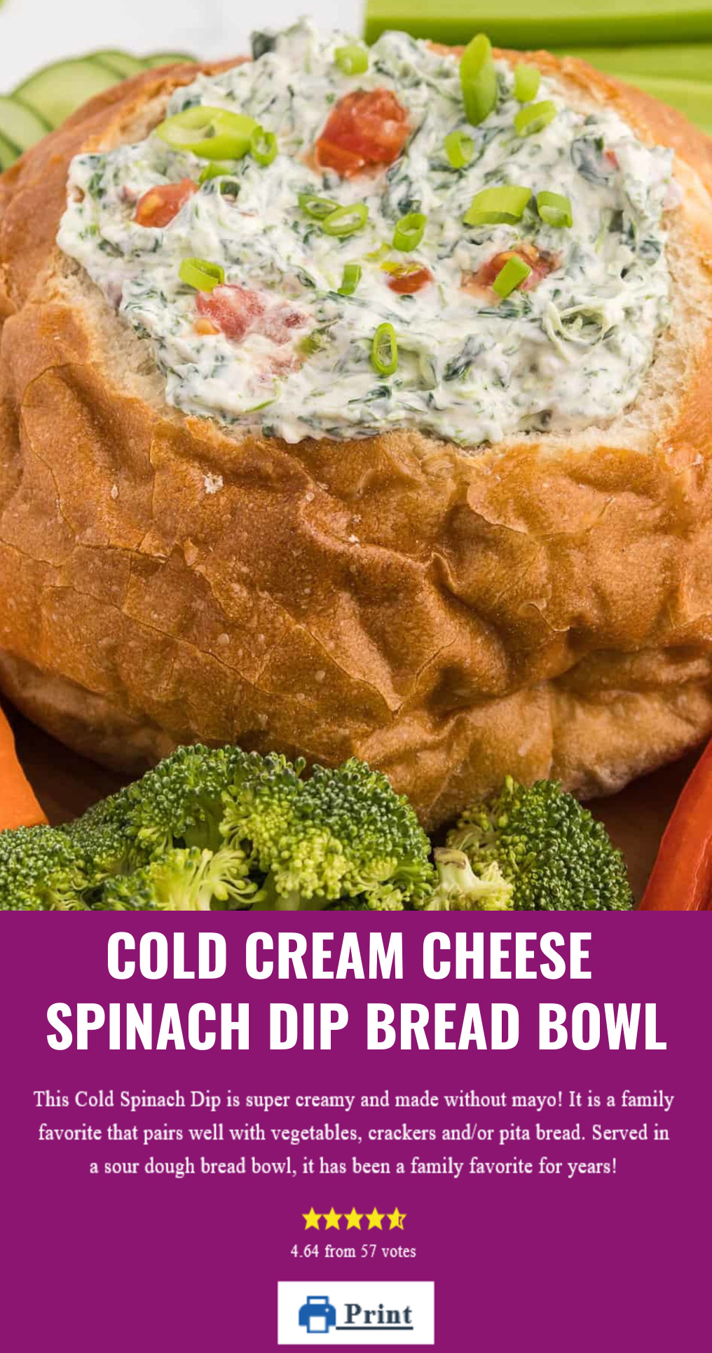 Cold Spinach Party Dip Appetizer Bread Bowl