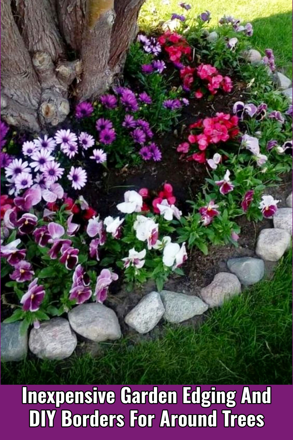 Inexpensive Garden Edging And DIY Borders For Around Trees and Stumps In Your Yard