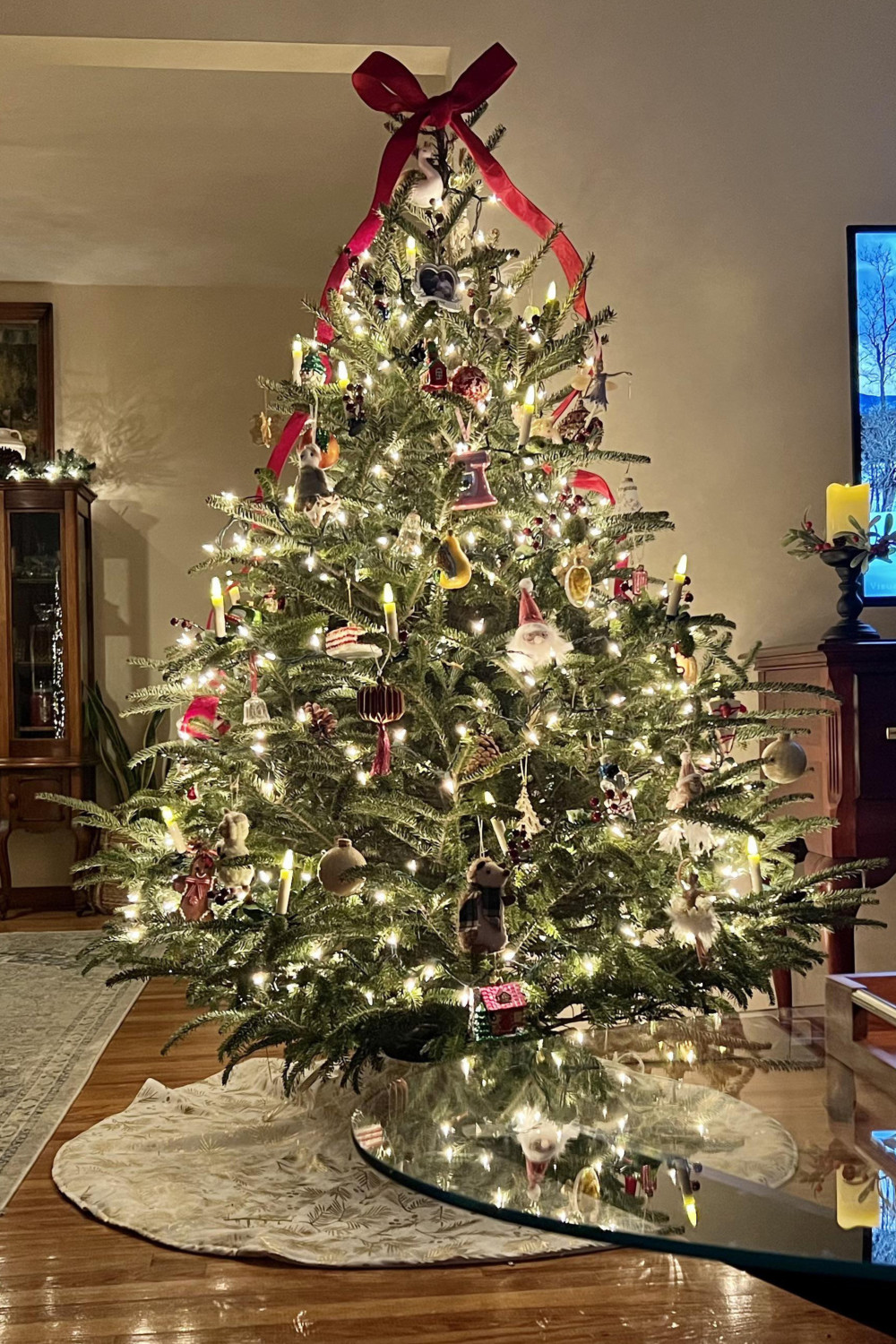 traditional fraser fir christmas tree