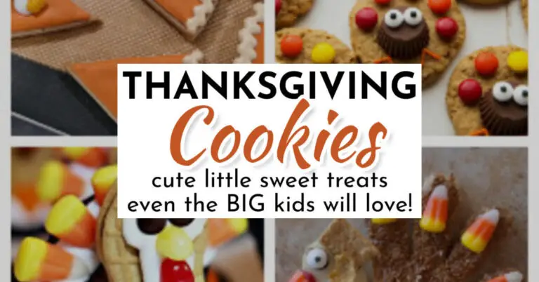 Cute Thanksgiving Cookies – Cute Little Sweet Treats Even The BIG Kids Will Love!