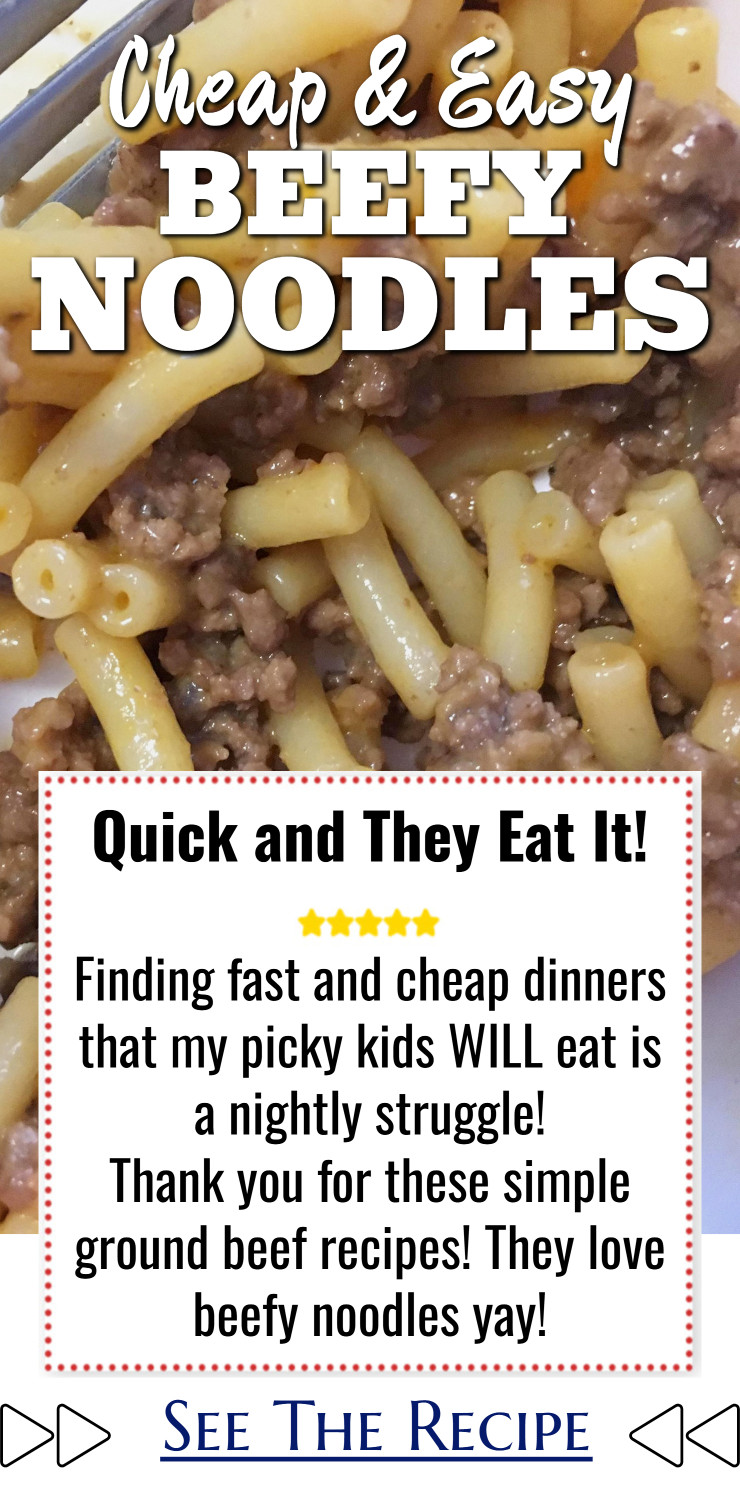 Beefy noodles for super picky eaters