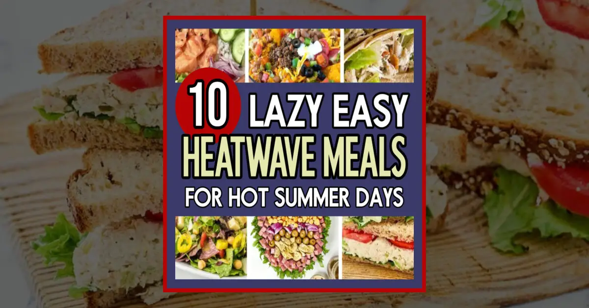 10 Heatwave Dinners and Cold Meals For Hot Summer Days